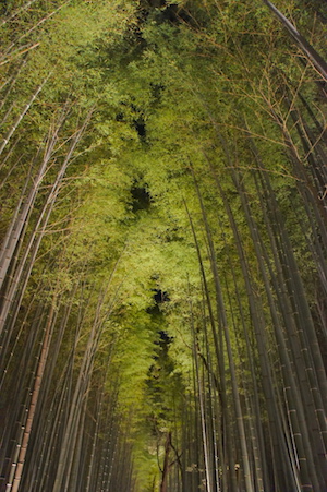 夜の嵐山